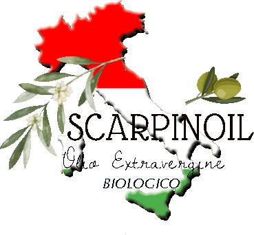 LOGO2